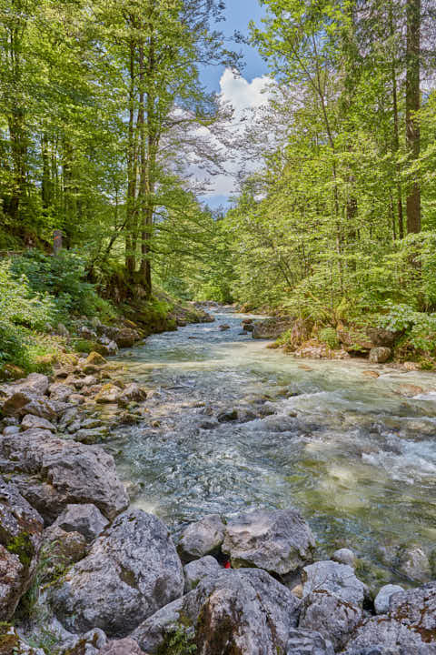 Gemeinde Ramsau Landkreis Berchtesgadener_Land Zauberwald am Hintersee (Dirschl Johann) Deutschland BGL